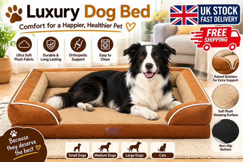 Dog beds large - sofa, bed