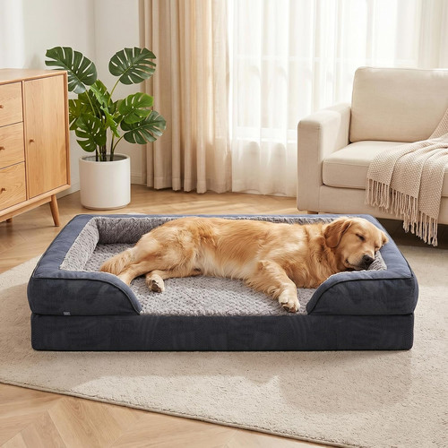 Extra large dog - extra,
