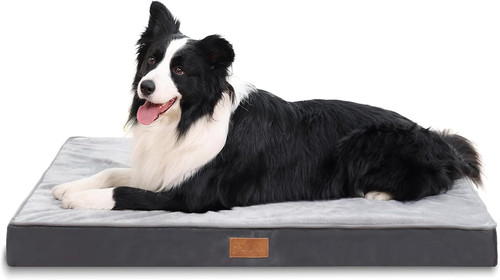 Large orthopedic dog bed - orthopedic,
