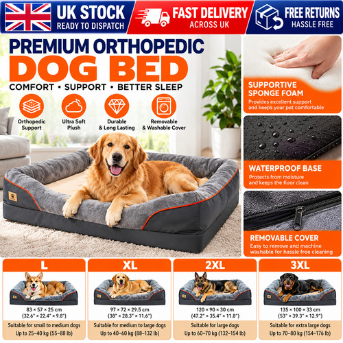 Jumbo large memory - jumbo, dog