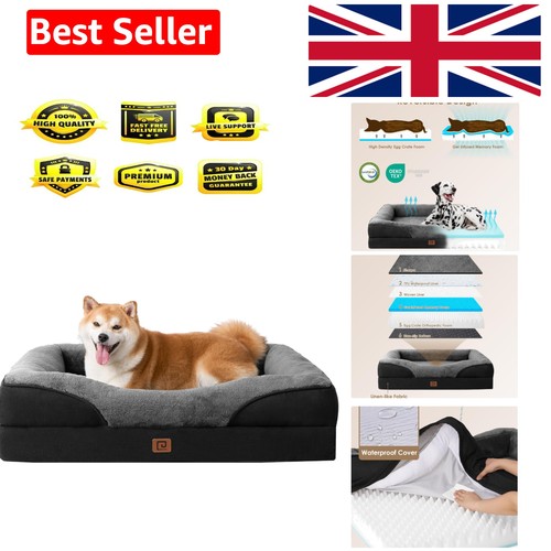 Memory foam large orthopedic - foam,