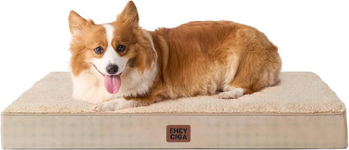 Orthopedic large dog - orthopedic,